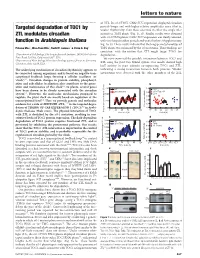 Targeted Degradation of TOC1 by ZTL Modulates Circadian Function In