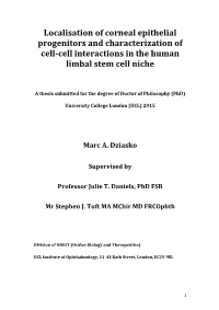 Localisation of Corneal Epithelial Progenitors and Characterization of Cell-Cell Interactions in the Human Limbal Stem Cell Niche