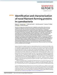 Identification and Characterization of Novel Filament-Forming Proteins In