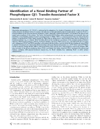 Identification of a Novel Binding Partner of Phospholipase Cb1: Translin-Associated Factor X