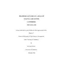 Phosphorus Dynamics in a Shallow Coastal Lake