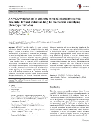 ARHGEF9 Mutations in Epileptic Encephalopathy/Intellectual Disability: Toward Understanding the Mechanism Underlying Phenotypic Variation