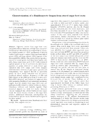 Characterization of a Basidiomycete Fungus from Stored Sugar Beet Roots