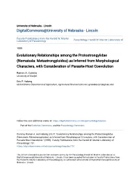 Nematoda: Metastrongyloidea) As Inferred from Morphological Characters, with Consideration of Parasite-Host Coevolution