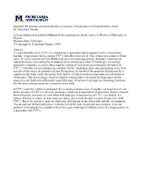Quantum Fluctuations and Thermodynamic Processes in The