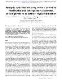 Synaptic Vesicle Fusion Along Axons Is Driven by Myelination and Subsequently Accelerates Sheath Growth in an Activity-Regulated Manner