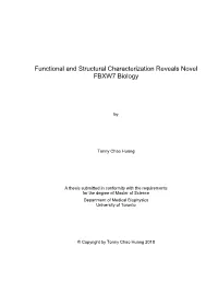 Thesis Template