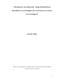 Using Dictyostelium Discoideum to Investigate the Mechanism of Action of Cannabigerol