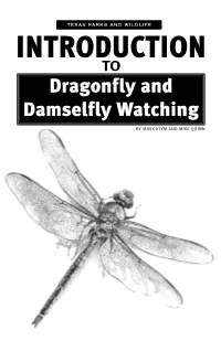 INTRODUCTION to Dragonfly and Damselfly Watching