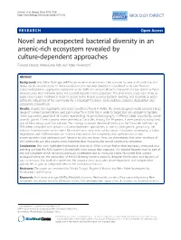 Novel and Unexpected Bacterial Diversity in An