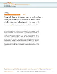 Spatial-Fluxomics Provides a Subcellular-Compartmentalized