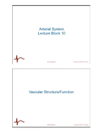 Arterial System Lecture Block 10 Vascular Structure/Function