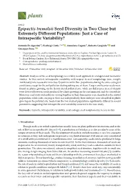 Epipactis Tremolsii Seed Diversity in Two Close but Extremely Diﬀerent Populations: Just a Case of Intraspeciﬁc Variability?