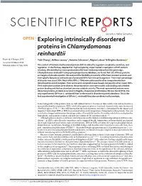 Exploring Intrinsically Disordered Proteins in Chlamydomonas
