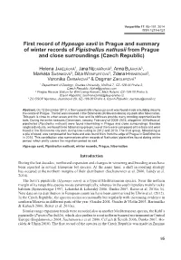 First Record of Hypsugo Savii in Prague and Summary of Winter Records of Pipistrellus Nathusii from Prague and Close Surroundings (Czech Republic)