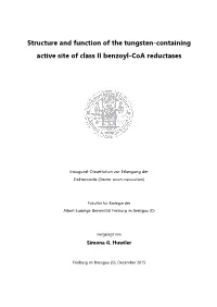 Structure and Function of the Tungsten-Containing Active Site of Class II Benzoyl-Coa Reductases
