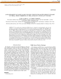Article a Reassessment of Some Poorly Known Turtles