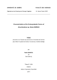 Characterization of the Endosymbiotic Forms of Sinorhizobium Sp. Strain