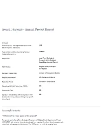 Preview Report