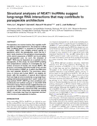 Structural Analyses of NEAT1 Lncrnas Suggest Long-Range RNA Interactions That May Contribute to Paraspeckle Architecture Yizhu Lin1, Brigitte F