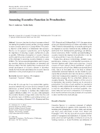 Assessing Executive Function in Preschoolers