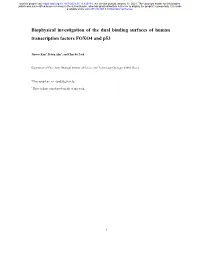 Biophysical Investigation of the Dual Binding Surfaces of Human Transcription Factors FOXO4 and P53