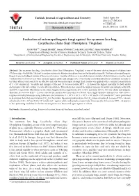 Evaluation of Entomopathogenic Fungi Against the Sycamore Lace Bug, Corythucha Ciliata (Say) (Hemiptera: Tingidae)