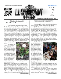 Sporeprint, Spring 2018