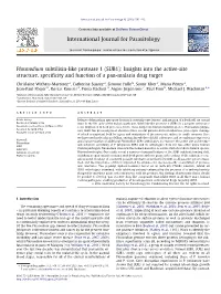Plasmodium Subtilisin-Like Protease 1 (SUB1): Insights Into the Active-Site Structure, Speciﬁcity and Function of a Pan-Malaria Drug Target