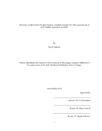 SPATIAL VARIATION of BACTERIAL COMMUNITIES on the LEAVES of a SOUTHERN MAGNOLIA TREE by Emily Nguyen a Thesis Submitted To