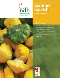 Summer Squash Volume 1 • Number 15