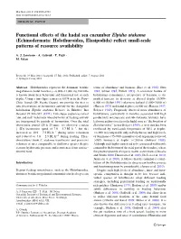 Functional Effects of the Hadal Sea Cucumber Elpidia Atakama (Echinodermata: Holothuroidea, Elasipodida) Reﬂect Small-Scale Patterns of Resource Availability