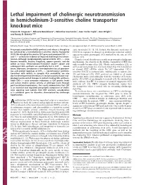 Lethal Impairment of Cholinergic Neurotransmission in Hemicholinium-3-Sensitive Choline Transporter Knockout Mice