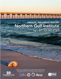 NGI Progress Report September 2017