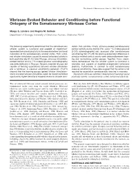 Vibrissae-Evoked Behavior and Conditioning Before Functional Ontogeny of the Somatosensory Vibrissae Cortex