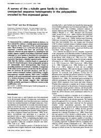 A Survey of the Ce-Tubulin Gene Family in Chicken: Unexpected Sequence Heterogeneity in the Polypeptides Encoded by Five Expressed Genes
