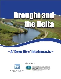Drought and the Delta – a “Deep Dive” Into Impacts