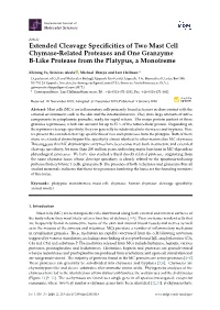 Extended Cleavage Specificities of Two Mast Cell Chymase-Related