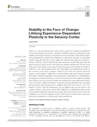 Frontiersin.Org 1 April 2020 | Volume 14 | Article 76 Ribic Mechanisms of Experience-Driven Cortical Plasticity