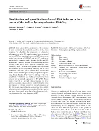 Identification and Quantification of Novel RNA Isoforms in Horn Cancer