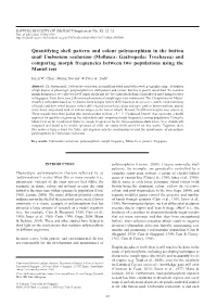 Quantifying Shell Pattern and Colour Polymorphism in the Button Snail