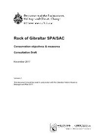 Ro Ock O of Gib Bralta R SPA A/SAC C