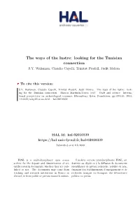 The Ways of the Lustre: Looking for the Tunisian Connection S.Y