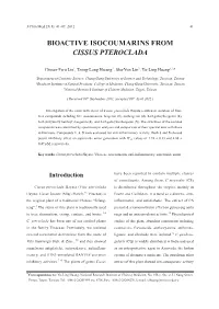 Bioactive Isocoumarins from Cissus Pteroclada