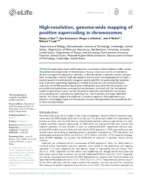 High-Resolution, Genome-Wide Mapping of Positive Supercoiling in Chromosomes Monica S Guo1†*, Ryo Kawamura2, Megan L Littlehale1, John F Marko2,3, Michael T Laub1,4*