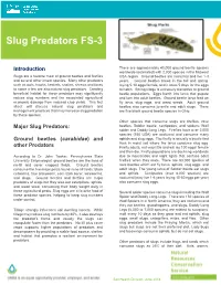 Slug Predators FS-3 Photo: Steve Gower, Michigan State University