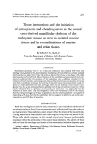 Tissue Interactions and the Initiation of Osteogenesis and Chondrogenesis