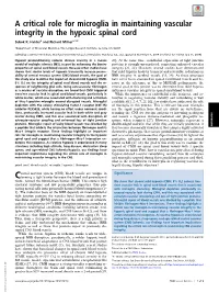 A Critical Role for Microglia in Maintaining Vascular Integrity in the Hypoxic Spinal Cord