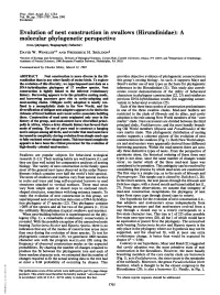 Evolution of Nest Construction in Swallows (Hirundinidae): a Molecular Phylogenetic Perspective (Aves/Phylogeny/Biogeography/Behavior) DAVID W