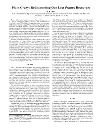 Plum Crazy: Rediscovering Our Lost Prunus Resources W.R